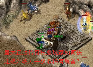 ʢ洫˽οսȡϡװ