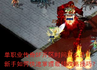ְҵSFʱôѡοѹԼɣ