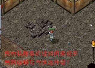 ˽ʵ糩