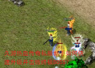 Ѫ˽οռBOSS