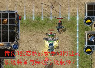 3̬˽ˢװͻƵȼƿ