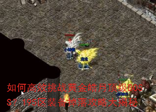 θЧսƽ¶BOSS195װ乥Դ