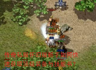 ˽ɰοٻȡװ뼼飿