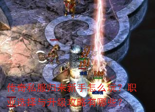 ˽ô棿ְҵѡЩ