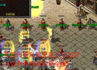 ̬˽ԪθЧÿٳưȫ