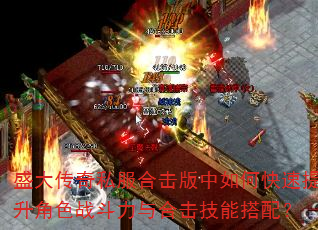 盛大传奇私服合击版中如何快速提升角色战斗力与合击技能搭配? 盛大传奇私服合击版中如何快速提升角色战斗力与合击技能搭配?