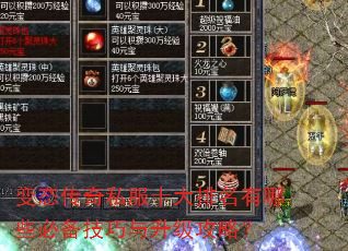 变态传奇私服十大排名有哪些必备技巧与升级攻略? 变态传奇私服十大排名有哪些必备技巧与升级攻略?