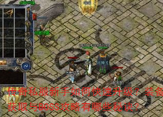 传奇私服新手如何快速升级?装备获取与BOSS攻略有哪些秘诀? 传奇私服新手如何快速升级?装备获取与BOSS攻略有哪些秘诀?