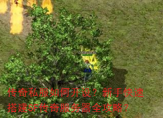 传奇私服如何开设?新手快速搭建SF传奇服务器全攻略? 传奇私服如何开设?新手快速搭建SF传奇服务器全攻略?