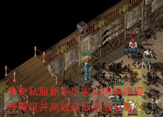 传奇私服新手玩家如何快速提升等级并高效获取高级装备? 传奇私服新手玩家如何快速提升等级并高效获取高级装备?