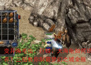 캣ë桢ܡ󺣹нưλ֮ȫ