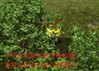 不花钱也能玩转传奇私服?零氪玩家必备技巧有哪些? 不花钱也能玩转传奇私服?零氪玩家必备技巧有哪些?