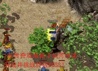 195传奇私服新手如何快速升级并挑战终极BOSS? 195传奇私服新手如何快速升级并挑战终极BOSS?
