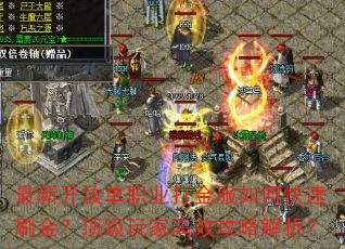 最新开放单职业打金服如何快速刷金?顶级玩家高效攻略解析? 最新开放单职业打金服如何快速刷金?顶级玩家高效攻略解析?