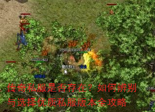 传奇私服是否存在?如何辨别与选择优质私服版本全攻略 传奇私服是否存在?如何辨别与选择优质私服版本全攻略