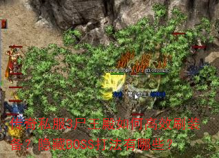 传奇私服3尸王殿如何高效刷装备?隐藏BOSS打法有哪些? 传奇私服3尸王殿如何高效刷装备?隐藏BOSS打法有哪些?