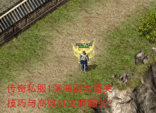 传奇私服1深海副本通关技巧与高效打法有哪些? 传奇私服1深海副本通关技巧与高效打法有哪些?