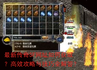 最新传奇SF网址如何获取?高效攻略与技巧全解答? 最新传奇SF网址如何获取?高效攻略与技巧全解答?