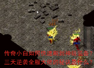 СοˢװϮȫеؾʲô