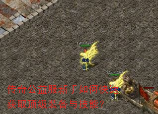 传奇公益服新手如何快速获取顶级装备与技能? 传奇公益服新手如何快速获取顶级装备与技能?
