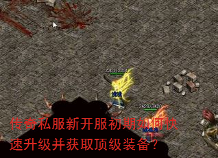传奇私服新开服初期如何快速升级并获取顶级装备? 传奇私服新开服初期如何快速升级并获取顶级装备?