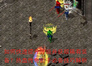 如何快速提升等级并获取稀有装备?热血传奇新手必备技巧解析 如何快速提升等级并获取稀有装备?热血传奇新手必备技巧解析