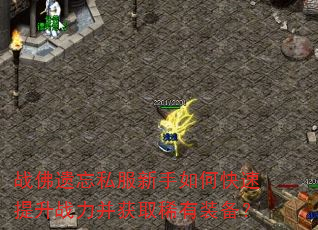 战佛遗忘私服新手如何快速提升战力并获取稀有装备? 战佛遗忘私服新手如何快速提升战力并获取稀有装备?