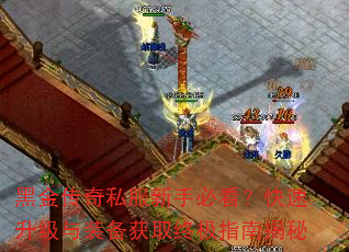 黑金传奇私服新手必看?快速升级与装备获取终极指南揭秘 黑金传奇私服新手必看?快速升级与装备获取终极指南揭秘