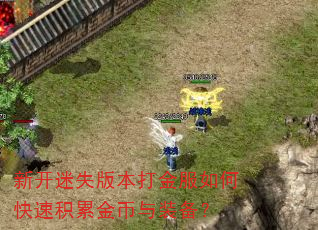 新开迷失版本打金服如何快速积累金币与装备? 新开迷失版本打金服如何快速积累金币与装备?