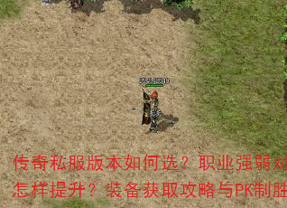 传奇私服版本如何选?职业强弱对比与升级速度怎样提升?装备获取攻略与PK制胜秘诀全解析 传奇私服版本如何选?职业强弱对比与升级速度怎样提升?装备获取攻略与PK制胜秘诀全解析