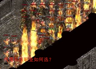 传奇私服职业如何选? 传奇私服职业如何选?