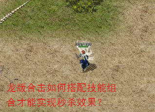 龙版合击如何搭配技能组合才能实现秒杀效果? 龙版合击如何搭配技能组合才能实现秒杀效果?