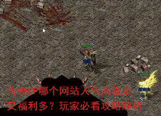 传奇SF哪个网站人气高稳定又福利多?玩家必看攻略解析 传奇SF哪个网站人气高稳定又福利多?玩家必看攻略解析