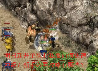 ¿ְҵ˽οٳ弶ֱؿЩ