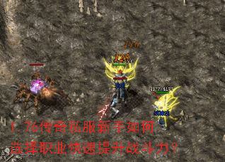 1.76传奇私服新手如何选择职业快速提升战斗力? 1.76传奇私服新手如何选择职业快速提升战斗力?