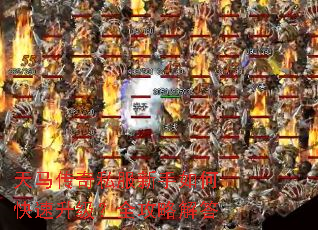 天马传奇私服新手如何快速升级?全攻略解答 天马传奇私服新手如何快速升级?全攻略解答