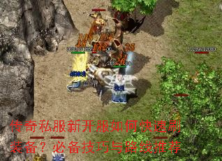 传奇私服新开服如何快速刷装备?必备技巧与路线推荐 传奇私服新开服如何快速刷装备?必备技巧与路线推荐