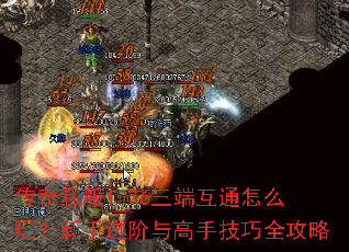 ˽1.76˻ͨô棿ּֽȫ