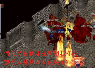 传奇私服新开服前期怎样高效升级并获取顶级装备? 传奇私服新开服前期怎样高效升级并获取顶级装备?