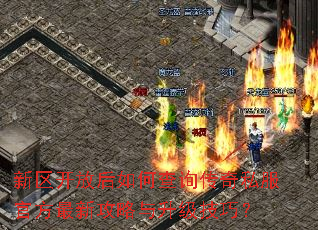 新区开放后如何查询传奇私服官方最新攻略与升级技巧? 新区开放后如何查询传奇私服官方最新攻略与升级技巧?