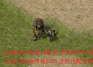 热血侠传奇单机版怎样快速升级获取顶级装备并挑战终极BOSS技能搭配攻略? 热血侠传奇单机版怎样快速升级获取顶级装备并挑战终极BOSS技能搭配攻略?