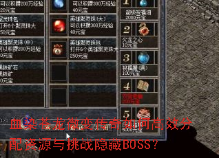 血染苍龙微变传奇如何高效分配资源与挑战隐藏BOSS? 血染苍龙微变传奇如何高效分配资源与挑战隐藏BOSS?