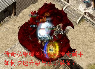 传奇私服绿色版正版传奇新手如何快速升级与获取装备? 传奇私服绿色版正版传奇新手如何快速升级与获取装备?
