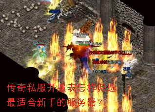 传奇私服开服表怎样筛选最适合新手的服务器? 传奇私服开服表怎样筛选最适合新手的服务器?