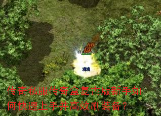 传奇私服传奇盒复古版新手如何快速上手并高效刷装备? 传奇私服传奇盒复古版新手如何快速上手并高效刷装备?