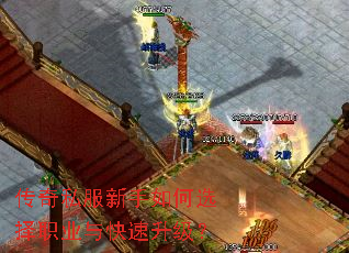 传奇私服新手如何选择职业与快速升级? 传奇私服新手如何选择职业与快速升级?
