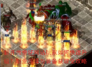 �¿�����SF��վ�����ο���������ְҵѡ����װ����ȡȫ����