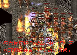 ʢ���滳�ɷ�˽������ο��ٻ�ȡ����װ��������ս���ȼ���