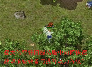 ʢ���滳�ɷ�˽������ο��ٻ�ȡ����װ��������ս���ȼ���