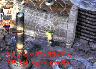 ����˽��Ӣ�ۺϻ�����δ��似��ʵ����ɱЧ����